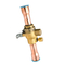 régulateur à gaz chaud de composants d'échangeur de chaleur de clapet de dérivation 4.2Mpa pour décharger la pression